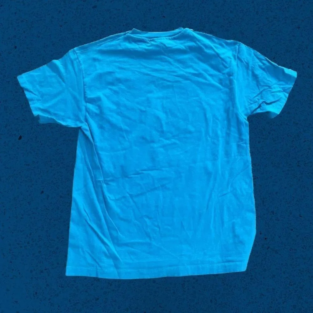 Vintage single stitch t shirt Charleston South Carolina Hanes blue men’s L - Picture 2 of 5